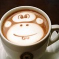 /album/fotogallerij/apen-koffie-jpg/